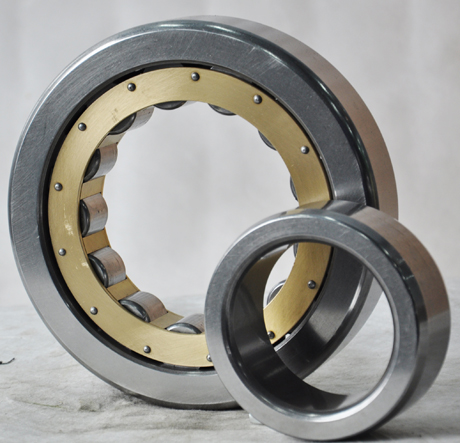 Traction motor bearing